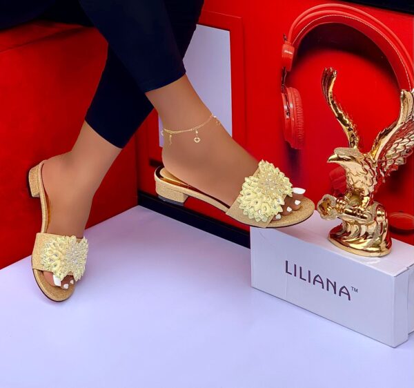 WhatsApp Image 2025-10-19 at 17.22.05_1271d110 LILIANA RHINESTONE EMBROIDERED LOW-HEELS SLIP-ON SANDALS